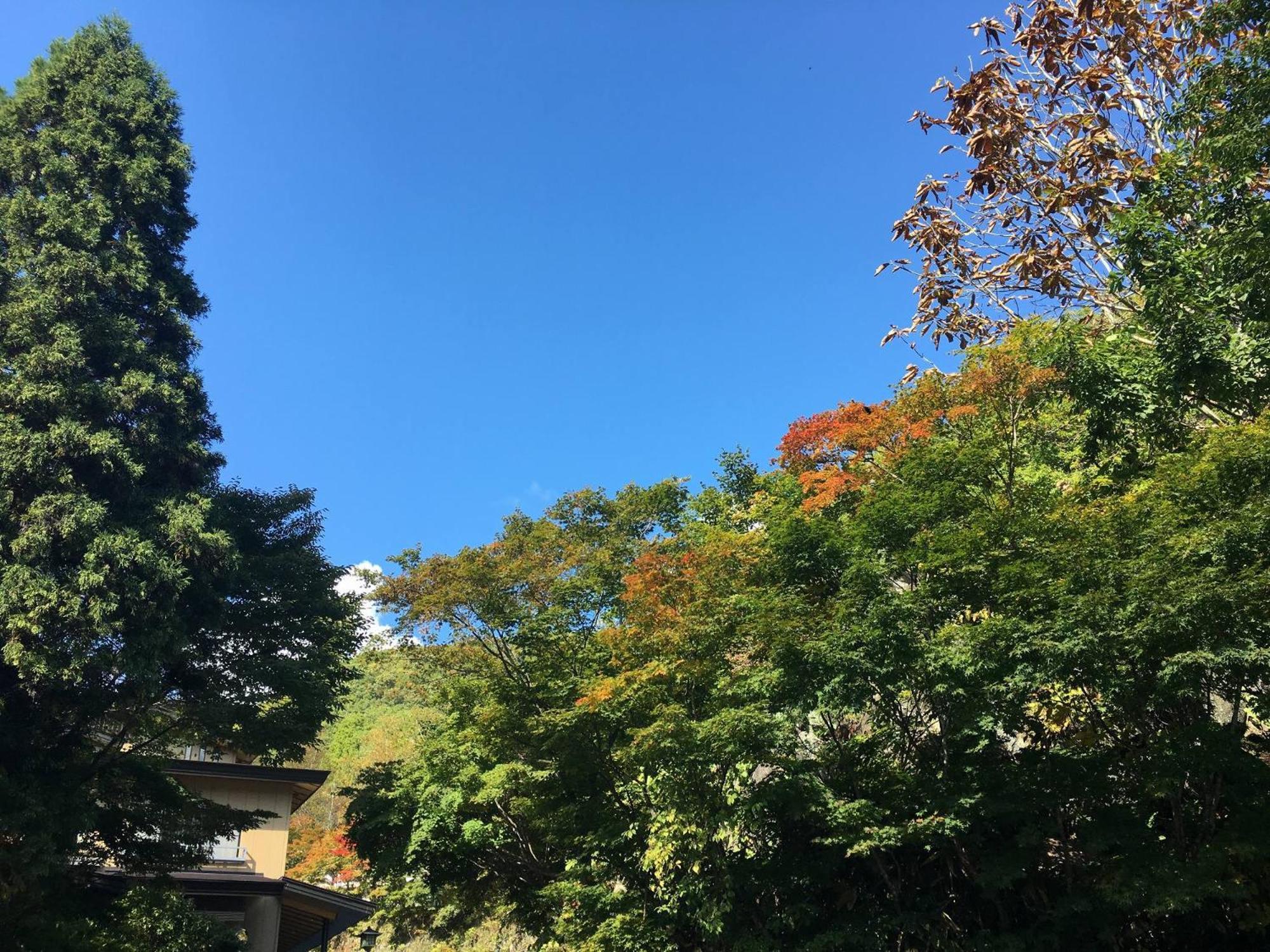 Hotel Takaragawa Onsen Ousenkaku Minakami Esterno foto